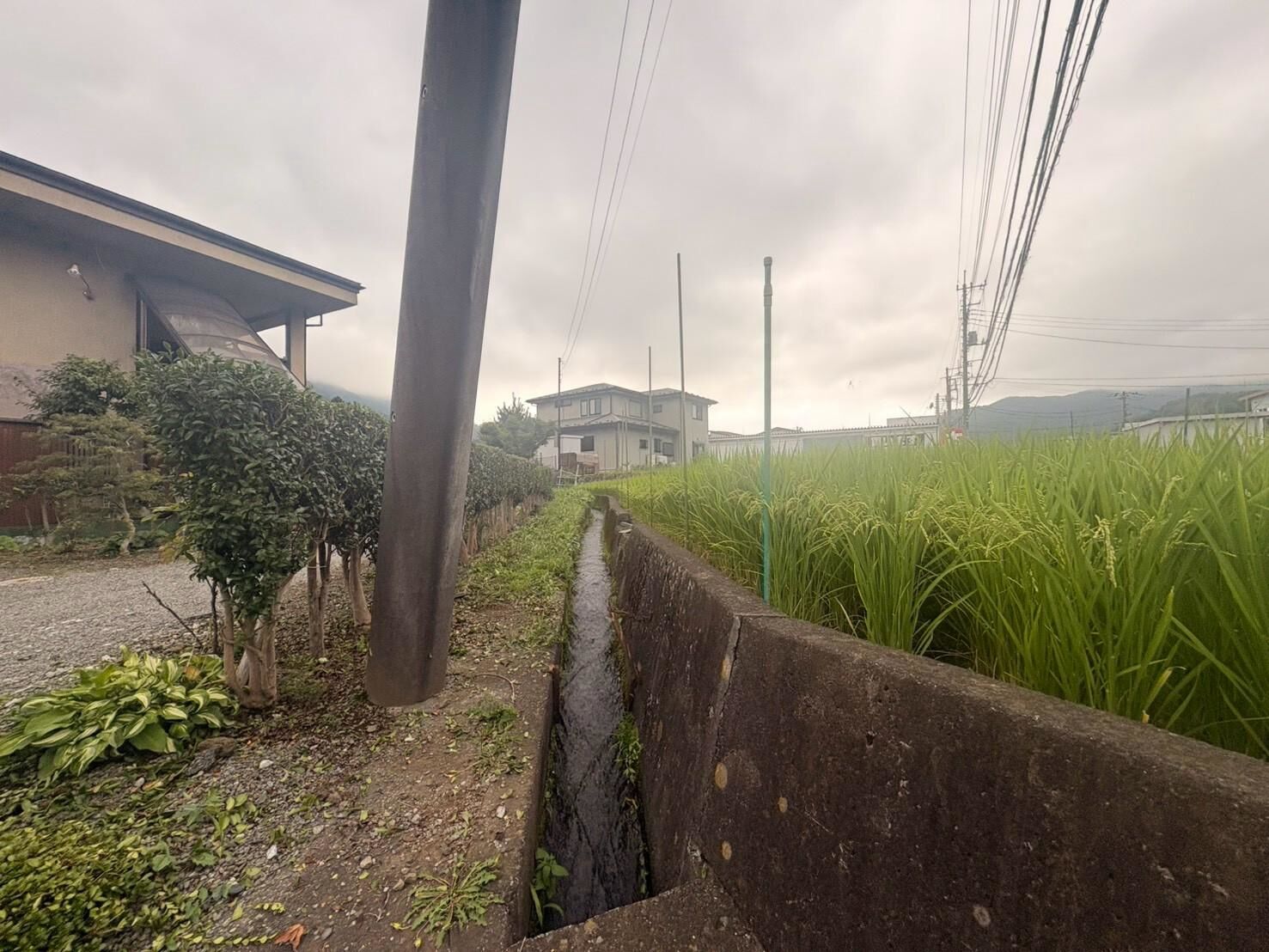 LINE_ALBUM_南都留郡西桂町小沼_260907_10